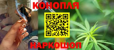 прущие грибы Краснознаменск