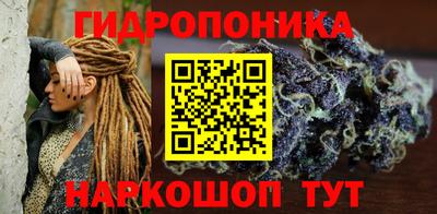 прущие грибы Краснознаменск