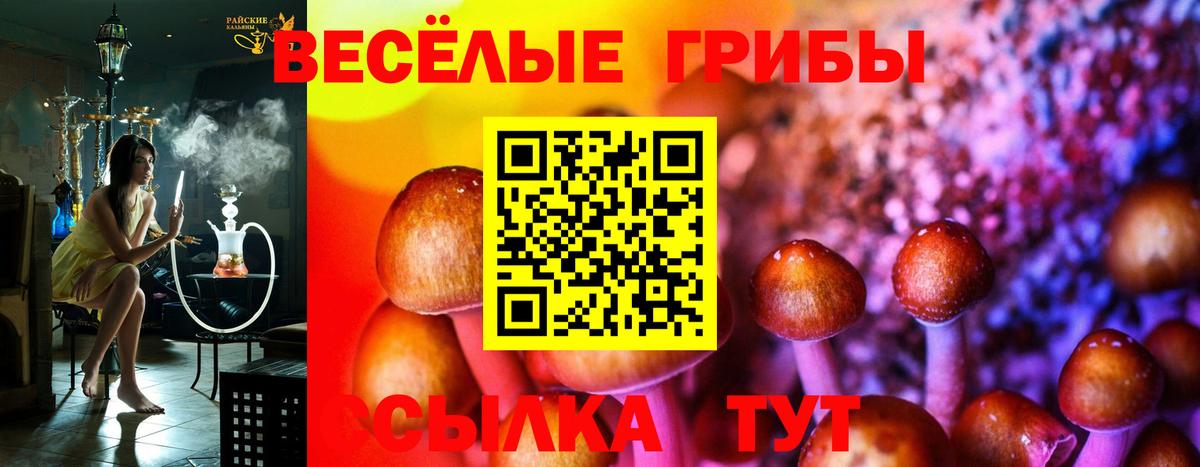 Егорьевск  Псилоцибиновые грибы ЛСД  Псилоцибиновые грибы ЛСД  Вход с VPN 